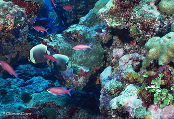 鑫海洋水族馆第 1 张图片