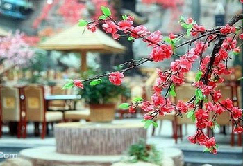 东方怡源温泉度假村第 3 张图片