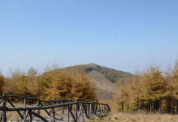 红崖峡谷第 5 张图片