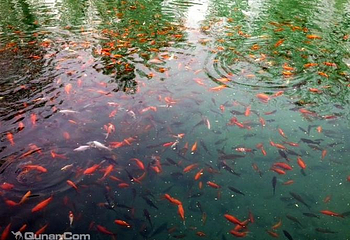 珍珠泉第 10 张图片