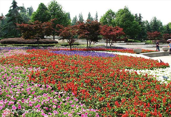 杭州花圃第 1 张图片