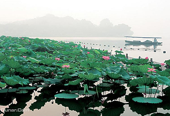 红莲湖第 1 张图片