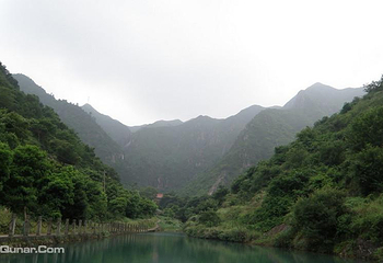 鲸头第 1 张图片