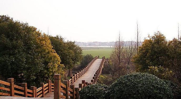 宝山环区绿色步道