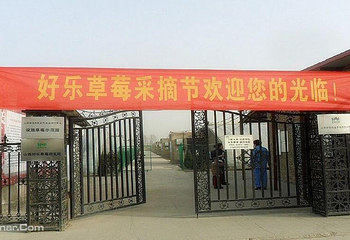好乐草莓庄园第 5 张图片