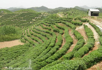 银洞山第 1 张图片