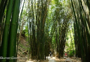 金沙江三谷水景区第 6 张图片