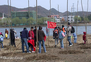 怀柔植树基地第 3 张图片