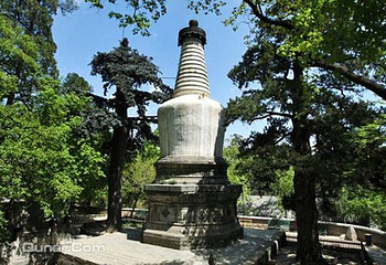 大觉寺第 21 张图片