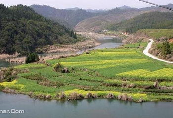 八岭山古墓群第 5 张图片