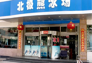 北极熊真冰场第 1 张图片