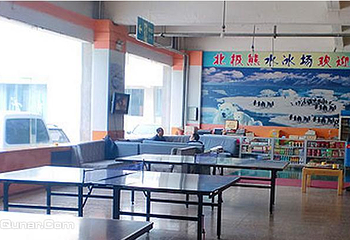 北极熊真冰场第 5 张图片