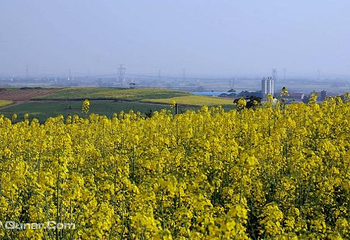 八宝山第 4 张图片