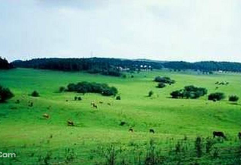 仙女风景区第 11 张图片