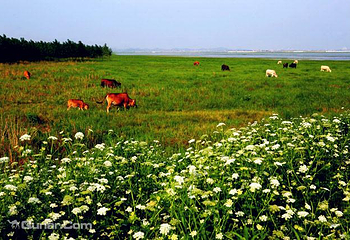 鄱阳湖国家湿地公园第 19 张图片