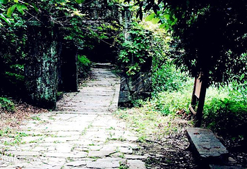 石台古徽道第 6 张图片