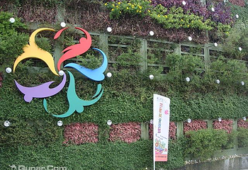 圆山公园第 9 张图片