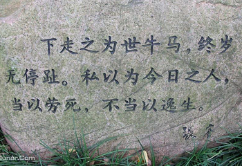 啬园第 6 张图片