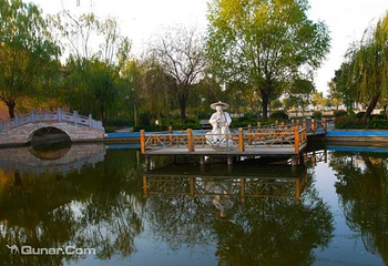 杨侍游龙湖第 6 张图片