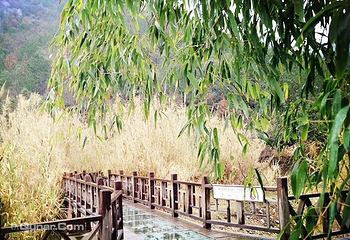 东海大峡谷第 6 张图片