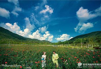 三亚亚龙湾国际玫瑰谷第 22 张图片