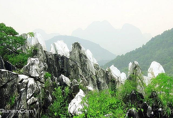 玉石林风景区第 5 张图片