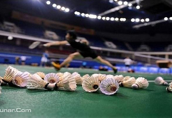 博羽羽毛球馆第 2 张图片