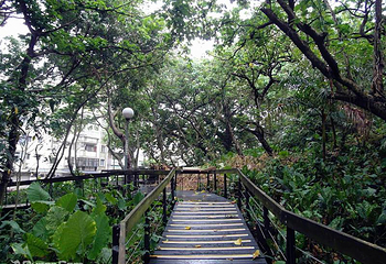台湾芝山文化生态绿园第 3 张图片