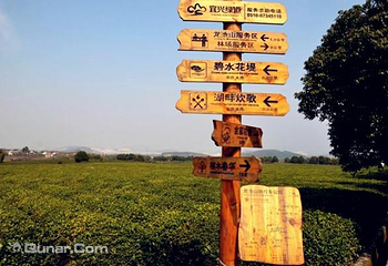龙池山自行车公园第 16 张图片