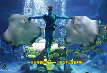 哈尔滨极地公园·海洋馆第 29 张图片