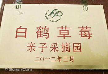 白鹤草莓园第 8 张图片