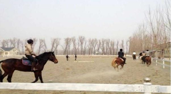 天津龙源马术俱乐部