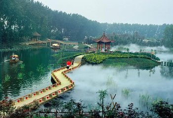 滕州微山湖红荷湿地第 31 张图片
