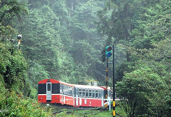 阿里山国家风景区第 59 张图片