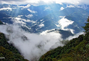 阿里山国家风景区第 60 张图片