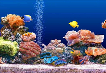 开封极地海洋世界第 10 张图片