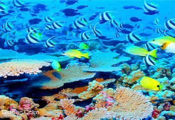 开封极地海洋世界第 13 张图片