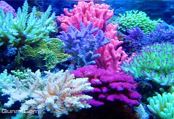开封极地海洋世界第 11 张图片