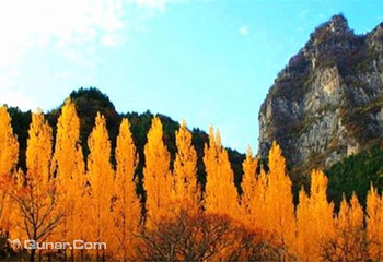香木河自然保护区第 4 张图片