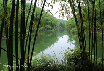 沐川竹海旅游景区第 2 张图片