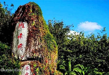 雁南飞茶田景区第 9 张图片