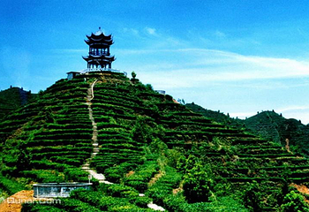 锦州茶山风景区第 1 张图片