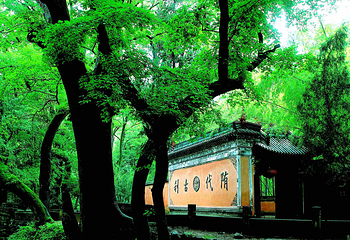 天台山景区第 26 张图片