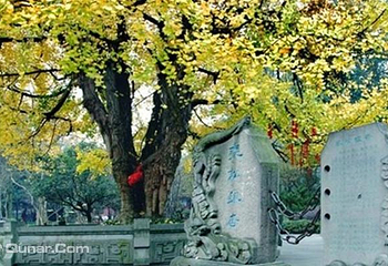 离堆公园第 19 张图片