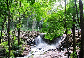 铧子山地质森林公园第 9 张图片