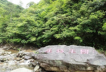 乌岩岭国家级自然保护区第 3 张图片