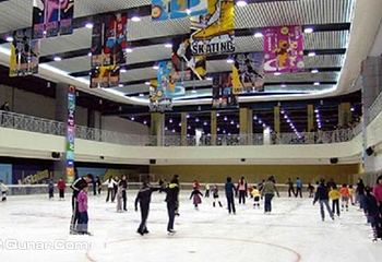 冠军冰场第 1 张图片