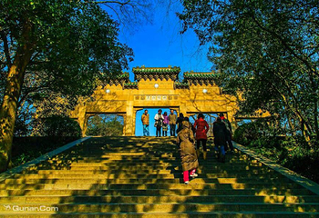 灵谷景区第 9 张图片