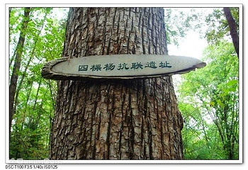铧子山地质森林公园第 10 张图片