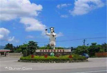 新光兆丰休闲农场第 9 张图片